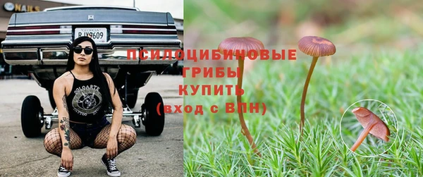 прущая мука Алзамай