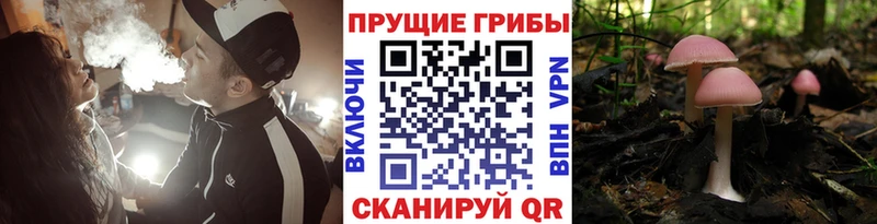 Купить закладки  Красноярск  Галлюциногенные грибы MAGIC MUSHROOMS 